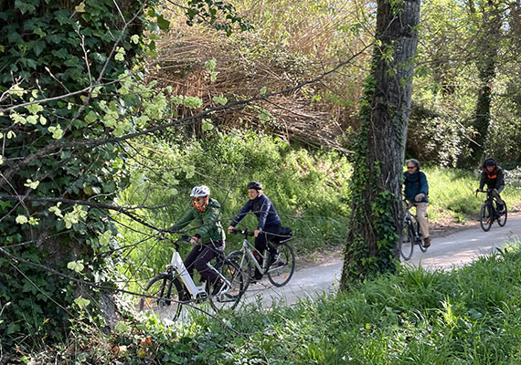 Bike ride around Villeneuve les Avignon 